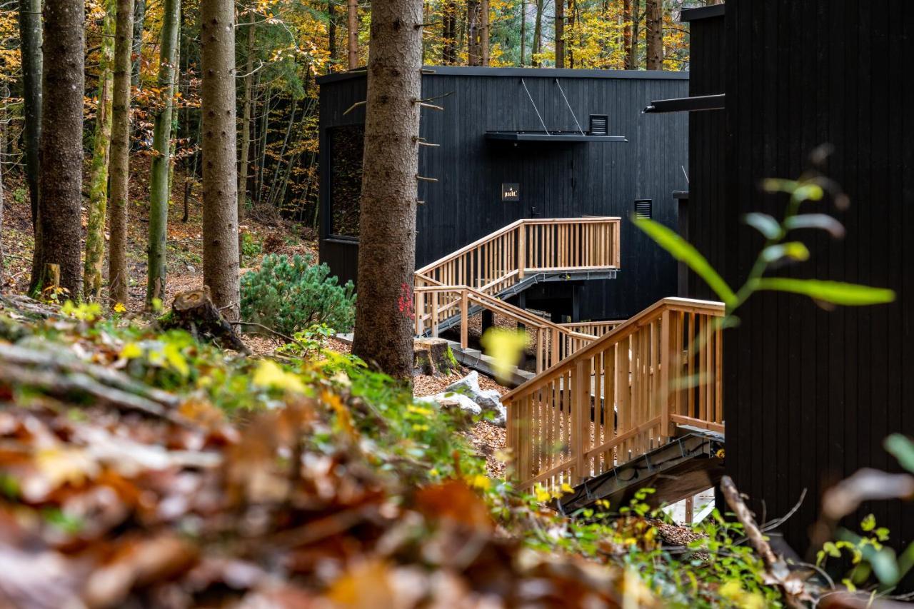 Hotel Fischerwirt Natur Waldspa Faistenau Exterior foto